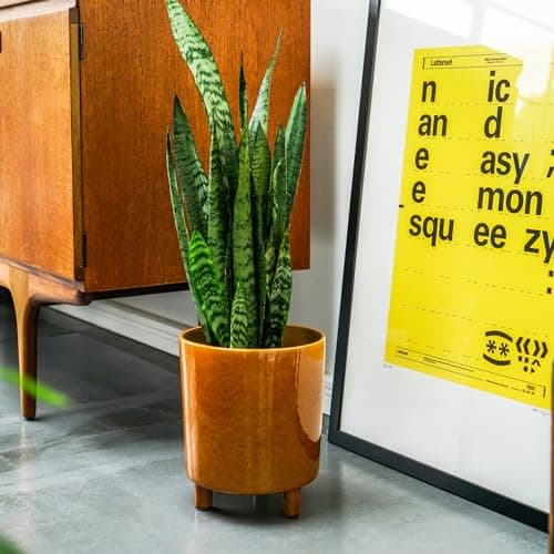 Image of Ivyline Pisa Premium Glaze Ceramic Planter in Mustard - Stylish, UV Stable & Waterproof Premium Quality Indoor Decorative Flower Pot - H24cm x D20cm