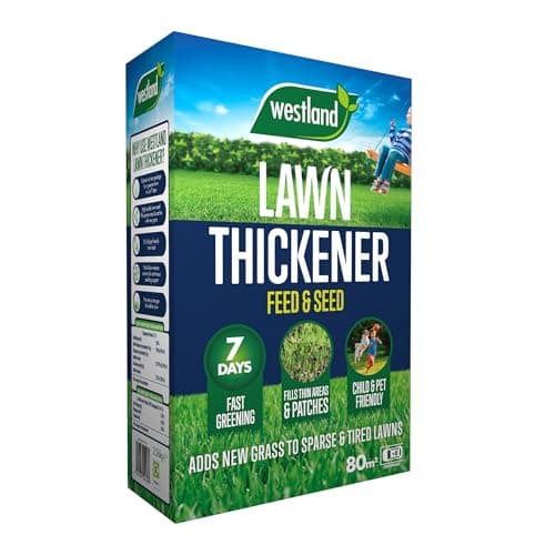 Image of Westland Lawn Thickener 80m2 Box