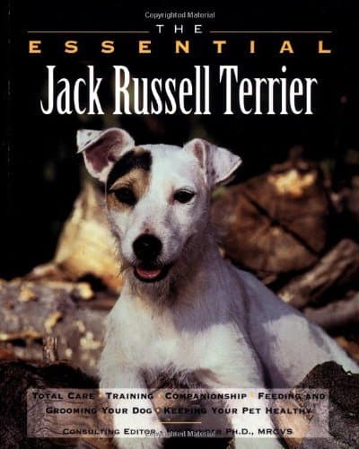 Image of By Howell Book House The Essential Jack Russell Terrier (Essential Guide) (Revised edition) [Paperback]