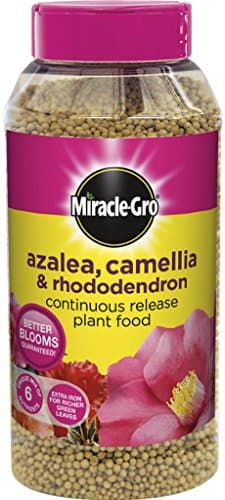 Image of Miracle Gro Slow Release Azalea, Camellia & Rhododendron Plant Food 1kg Shaker Jar (519423)