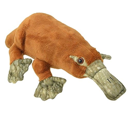 Image of Wild Planet All About Nature-41 cm Ornitorrinco-Handmade Realistic Plush Toy, Multi-Colour (K8194