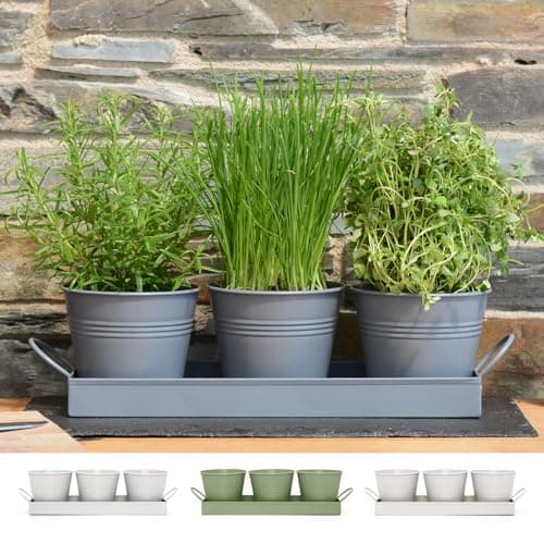 Image of CKB LTD Set of 3 Metal Herb Plant Pots with Saucer Drip Tray Traditional Indoor Windowsill Coloured Planter Box for The Kitchen Grow Your Own Herbs for Cooking (Charcoal Grey)