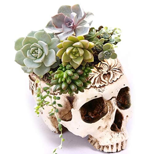 Image of Creative Flower Pot, Resin Skull Shaped Head Design Flower Pot Planter Container Decor for Home Office Desk (A)