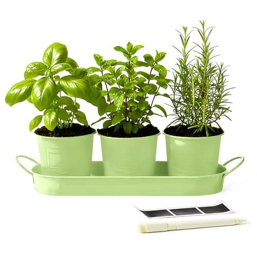 Image of DIVCHI Metal Herb Planter Pots Set of 3 with Tray & Chalk Labels – Indoor Herb Garden Kit for Kitchen Windowsill – Decorative Herb Pots for Basil, Mint, Rosemary – Indoor & Outdoor Use (Green)