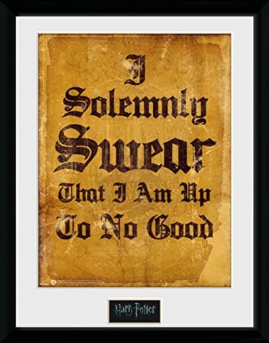 Image of GB eye Harry Potter I Solemnly Swear 30 x 40cm Framed Collector Print