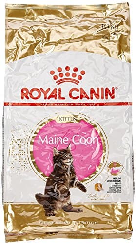 Image of Royal Canin Maine Coon Kitten Dry Cat Food 10kg