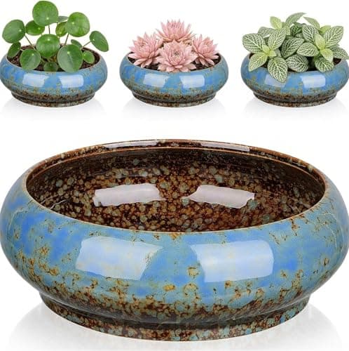 Image of Ceramic Lotus Bowl Planter Non-Draining Water Plant Pot Glazed Succulent Bowl for Lotus Seeds Narcissus Hydroponic Water Lily Zen Indoor Garden Ideal Housewarming Gift Blue