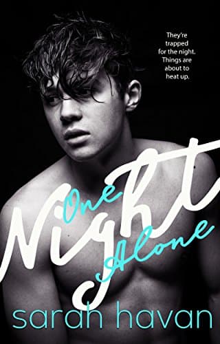 Image of One Night Alone