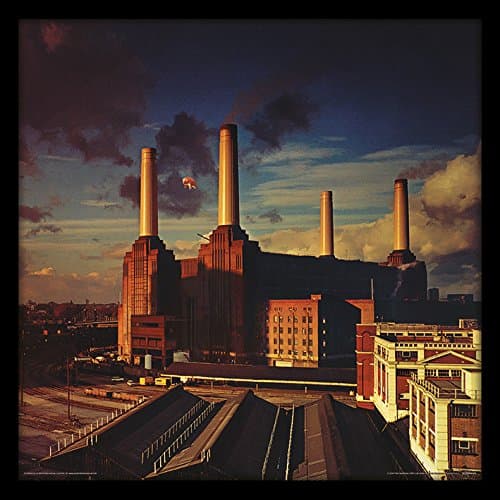 Image of Pink Floyd Animals Framed Album Cover Print, Official Licensed Wall Art, 12 Inch Music Memorabilia, Record Sleeve Decor, Collector Gift for Fans