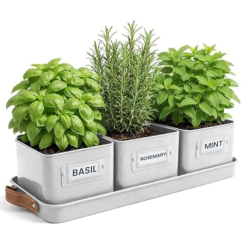 Image of Green Thumbz Herb Pots for Kitchen Windowsill - Set of 3 Warm Stone Herb Planter Indoor with Leather Handled Tray - Ideal for an Indoor Herb Garden, Plants and Flowers - Labels Included