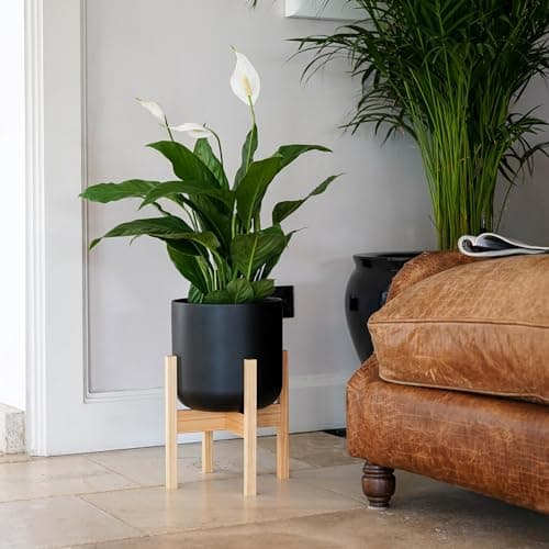 Image of Ivyline Lisbon Planter with Wooden Stand - Dark Grey - Waterproof Premium Quality Glazed Decorative Indoor Ceramic Flower Pot & Rack - H43.5cm x D26cm