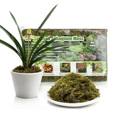 Image of GOTVUGE Premium Sphagnum Moss, 150g Natural Moss for Orchid Potting Mix, Carnivorous Plants & Succulents, Ideal Reptile Bedding, High Water Retention & Breathable (1 pack)