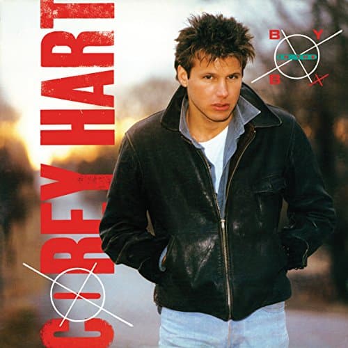 Image of Never Surrender
