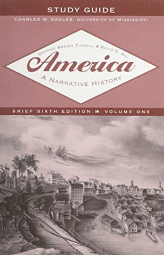Image of America – A Narrative History V 1 SG