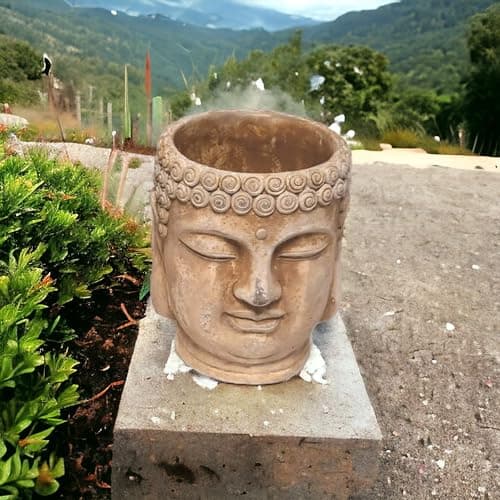 Image of DIVAS SPIRITUAL Buddha Cement Planters Indoor/Outdoor Home Decor, Serene Buddha Head Planter – Meditative Decor (Medium(18.6 x 15 x 14.6cms) weigh 2.5 kg)