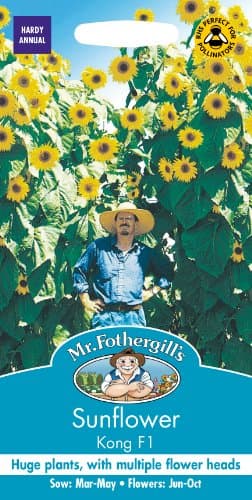 Image of Mr. Fothergill's Kong F1 Sunflower Seeds