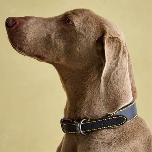 Image of Joules Rosewood Joules Navy Blue Leather Dog collar, Navy, Medium