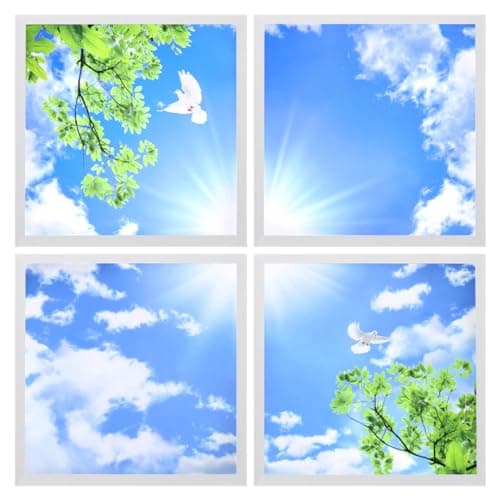 Image of Long Life Lamp Company Blue Sky LED Ceiling Panel 600 x 600 Sun Birds Cloud Sky Scene Recessed Office Light with Transformers 4 Set SKY03F