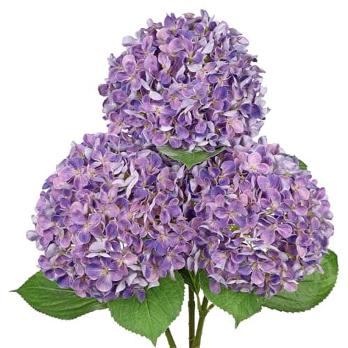 Image of Arborus 3PCS Artificial Hydrangea Flowers 26.3" Long Stem Purple Hydrangea Artificial Flowers Realistic Faux Hydrangeas with 6.6" Large Bloom Fake Silk Flower for Home Wedding Table Centerpiece Decor