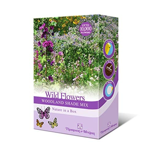 Image of Woodland Garden Wildflower Seeds for Bees and Butterflies | Wild Flower Seed Mix Grow Your Own Foxgloves, Borage and Forget Me Nots - Suitable for Shady Areas 1 x 15g Mixed Pack by Thompson & Morgan