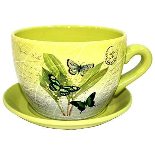 Image of Gr8 Garden Decorative Novelty Terracotta Tea Cup and Saucer Shaped Garden Patio Flower Planter Plant Pot Tub (Large Green Butterfly Leaf)