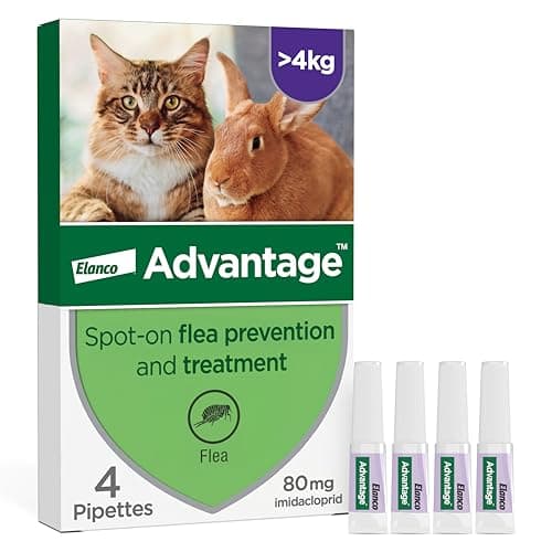 Image of Advantage Spot On Flea Treatment For Large Cats and Rabbits Over 4kg (4 pipettes, 80mg), Kills Fleas Within 24 Hours, Prevents Further Infestation For Up To Four Weeks in Cats