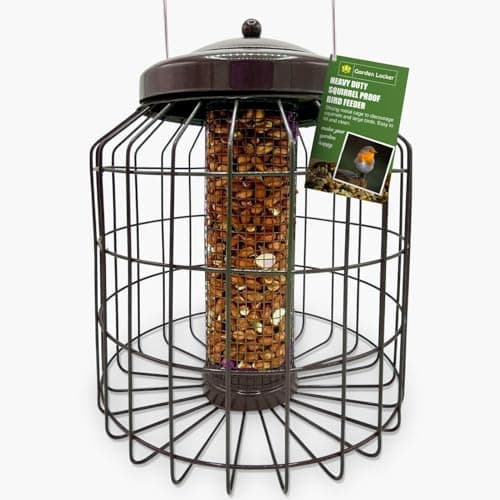 Image of Garden Locker Heavy Duty Squirrel Proof Peanut Bird Feeder – Galvanised Metal Cage, 41 cm Hanging Height × 24 cm