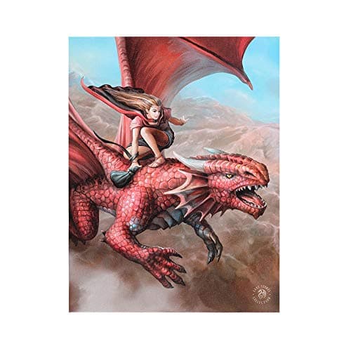 Image of Beespoke Gifts 19x25cm Sky Surfer Canvas Plaque by Anne Stokes