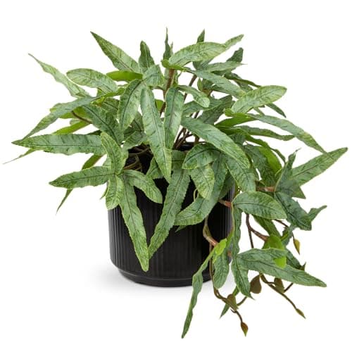 Image of Briful 9" Small Artificial Fern Plants Indoor Pteris Cretica Fake Plants, Faux Fern in Black Ceramic Pot Decorative Artificial Plants for Home Living Room Kitchen Bathroom Decor