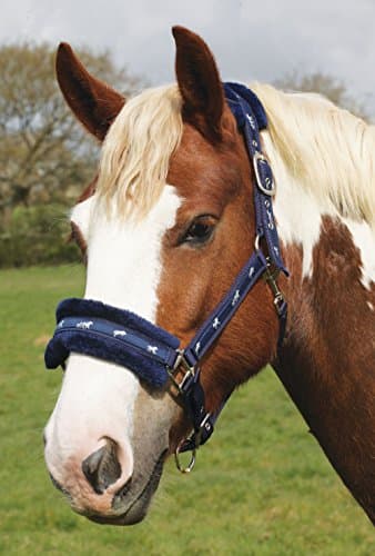 Image of Rhinegold Logo Headcollar fleece trim - Shet - Blue