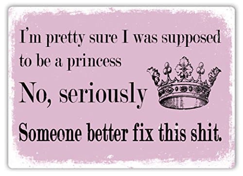 Image of Pretty Sure Princess Crown (Pink) - Metal Wall Sign Plaque Art Inspirational