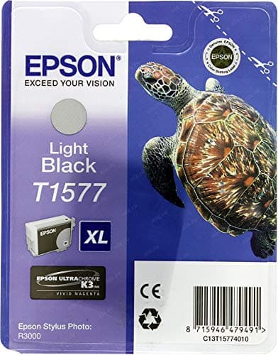 Image of Epson Stylus Photo R3000 Ink Cartridge - Light Black