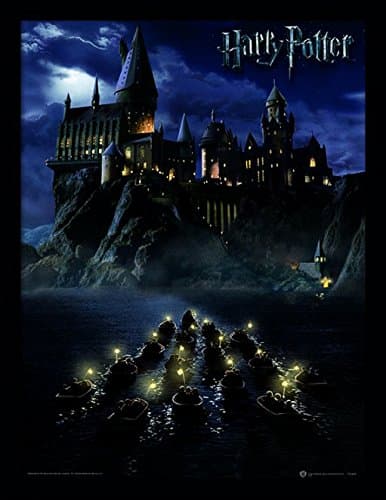 Image of Harry Potter Pyramid International (Hogwarts School) 30 x 40cm Collector Print (Framed) 30cm x 40cm, One Size
