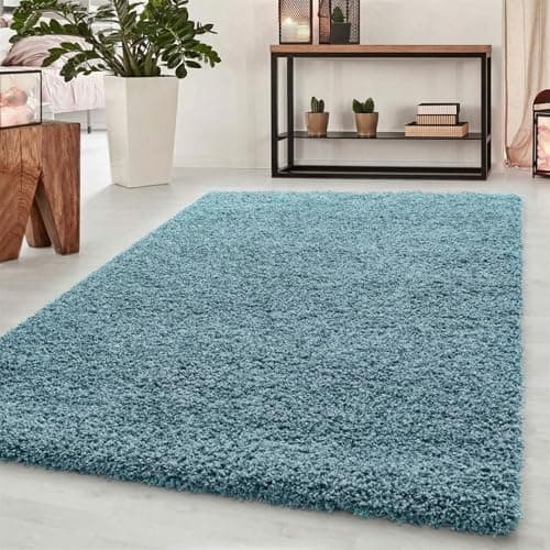 Image of Abaseen Small Large Shaggy Rug Modern Rugs Living Room Extra Large Small Medium Rectangular Size Soft Touch Thick Pile Living Room Area Rugs Non Shedding (Duck Egg Blue, 120x170 cm)