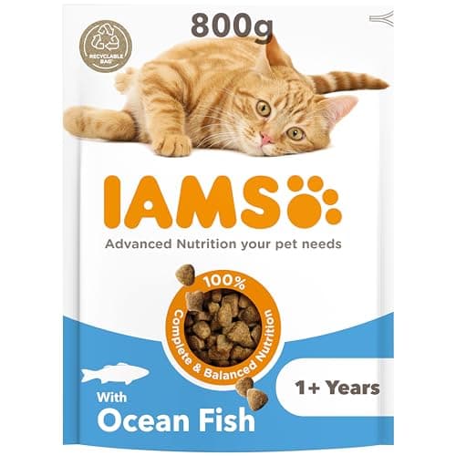 Image of IAMS Adult Complete Dry Cat Food Ocean Fish 800g - Supports Strong Immune System