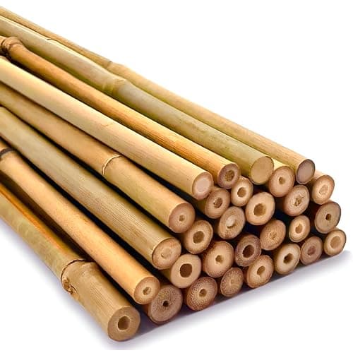 Image of Strong Heavy Duty Professional Bamboo Canes for Plant Support - Multiple Lengths 2ft - 8ft Garden Stakes, Durable Large Garden Canes Sturdy & Natural Bamboo Sticks for Plants Size (2ft, 10, 10-12mm)