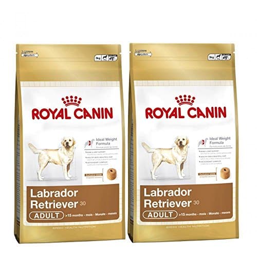 Image of 2 X 12kg Royal Canin Labrador Retriever 30 Multi-buy Adult Dog Food 2 x 12kg