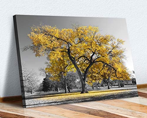 Image of Large Tree Yellow Leaves Black White Canvas Wall Art Picture Print (24in x 16in / 60cm x 40cm)