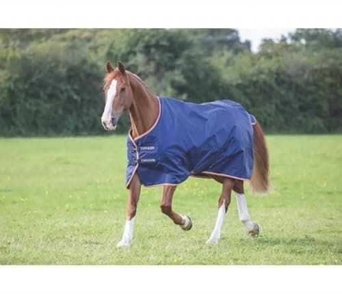 Image of Shires Original Horse Turnout Rug Lite | Lightweight Waterproof Outdoor Horse Rug | Horse Blanket for Comfort & Warmth | Sizes 5’9–7’0 | Assorted Colours (We Will Ship Available Color)
