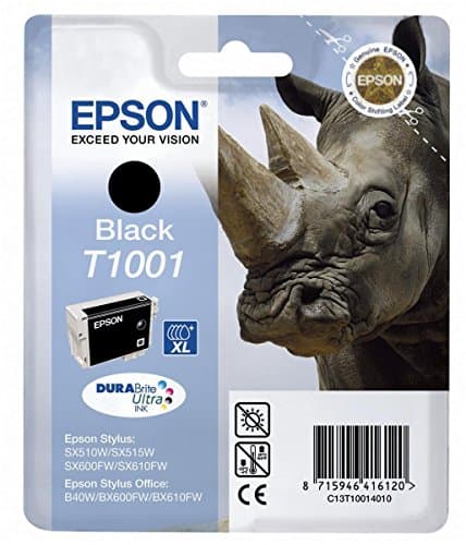 Image of Epson T1001 Black Ink Cartridge, Genuine