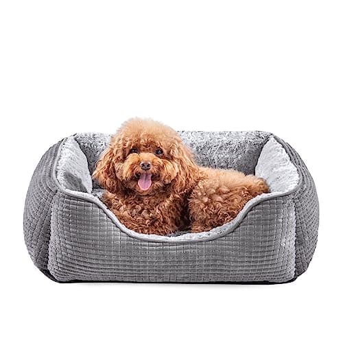 Image of JOEJOY Medium Dog Bed Washable Pet Bed, Orthopedic Calming Dog with Raised Edges Rectangle Bed Non-Slip Bottom Puppy Bed, Soft Rose Velvet Pet Bed For Medium Dogs, Grey, 63x53x21 cm