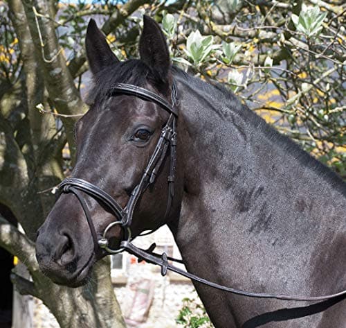 Image of Rhinegold Elegance Stitched Flash Bridle-Pony-Black