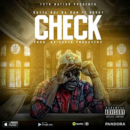 Image of Check Ft. Hoody