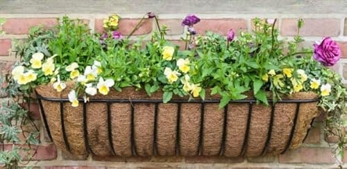 Image of Aggloz | 60cm Wall Hanging Flower Plant with Coco Liner Metal Iron Vase Bucket Planter for Railing Fence Balcony Garden Home Decoration Flower Holders with Detachable Coco, Black