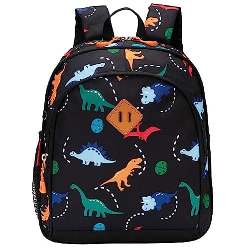 Image of JinBeryl Little Kids Backpack, Toddler Boys School Bag, Fits 4 5 6 7 Years Old (Dinosaur Black)