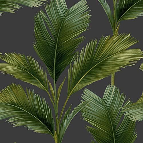 Image of Large Palm Leaf Wallpaper Charcoal and Green Kaliani Collection Feature Wall