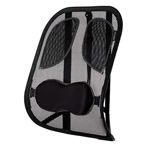 Image of Fellowes Professional Series Mesh Back Support for Office Chair with Lumbar Support and Tri-Tensioning