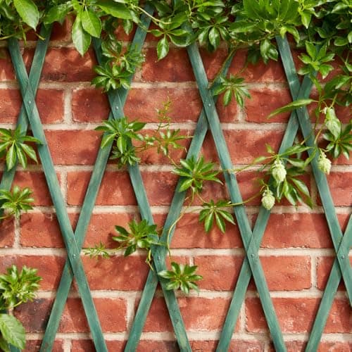 Image of Garden Mile Sage Green Wooden Trellis - Expandable Garden Trellis, Heavy Duty Wooden Wall Panels for Climbing Plants, Weather Resistant Outdoor Fence Screen with Aluminium Rivets 180x60cm