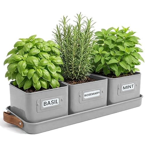 Image of Green Thumbz Herb Pots for Kitchen Windowsill - Set of 3 Charcoal Grey Herb Planter Indoor with Leather Handled Tray - Ideal for an Indoor Herb Garden, Plants and Flowers - Labels Included