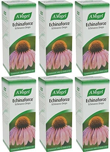 Image of (6 PACK) - A Vogel - Echinaforce Drops | 100ml | 6 PACK BUNDLE
